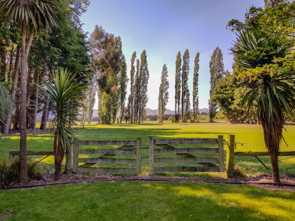 Gardens of New Zealand tour, spring time