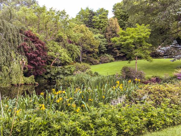 New Zealand North Island gardens tour