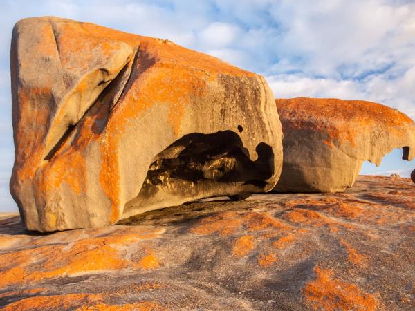 3 day Kangaroo Island wildlife tour