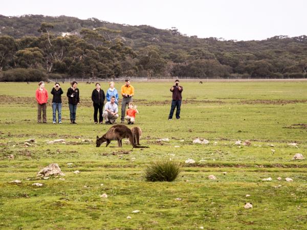 3 day Kangaroo Island wildlife tour