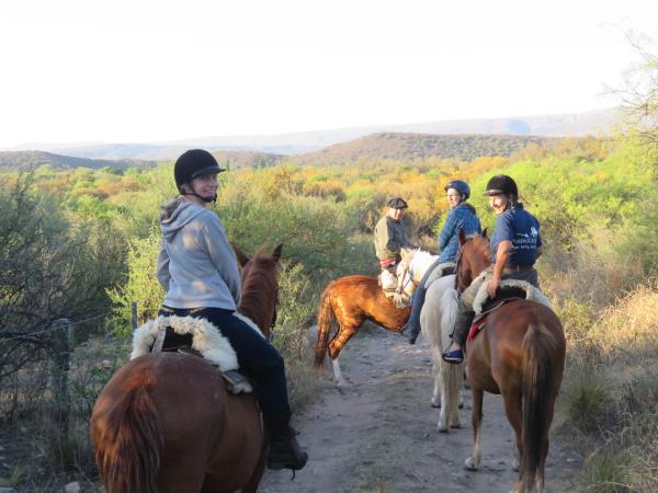 Learn to ride a horse in Argentina