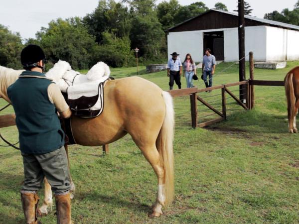Learn to ride a horse in Argentina