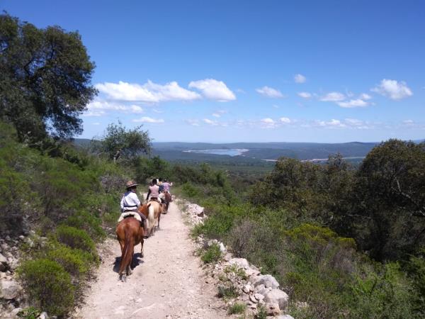 Learn to ride a horse in Argentina