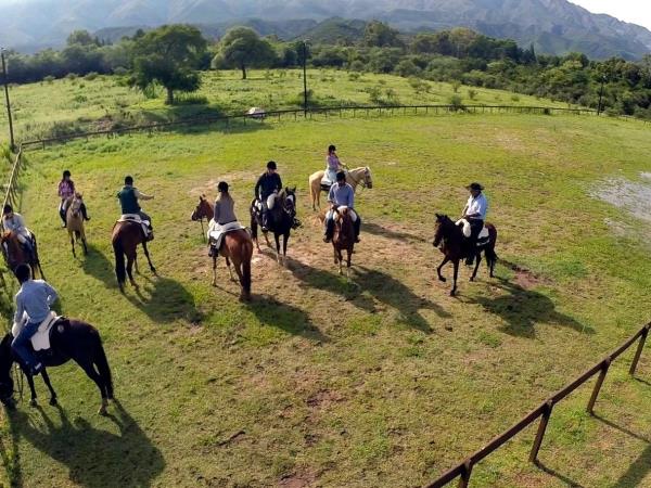 Learn to ride a horse in Argentina