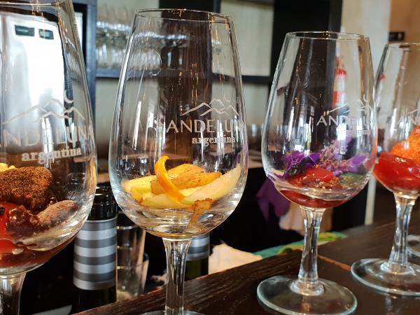 Horse riding and Mendoza wine tour in Argentina