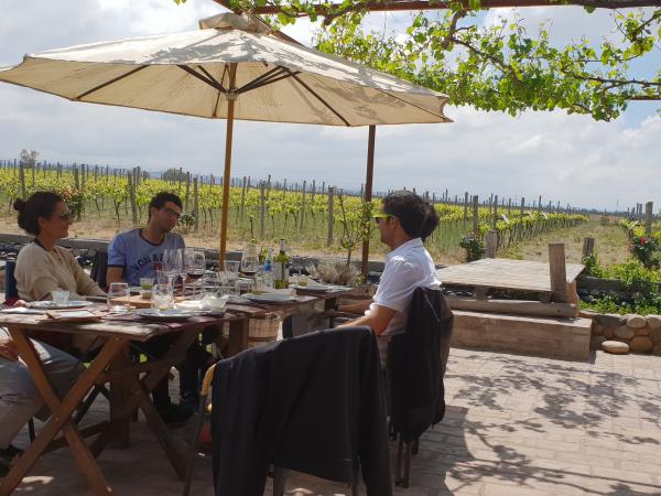 Horse riding and Mendoza wine tour in Argentina