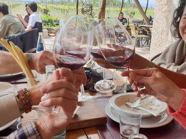 Horse riding and Mendoza wine tour in Argentina