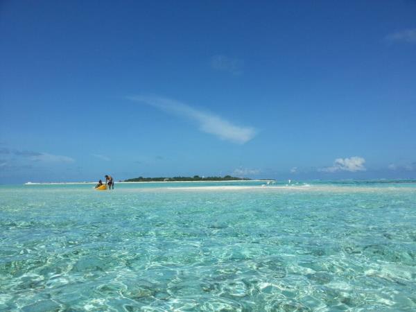 Maldives whale shark conservation snorkeling cruise