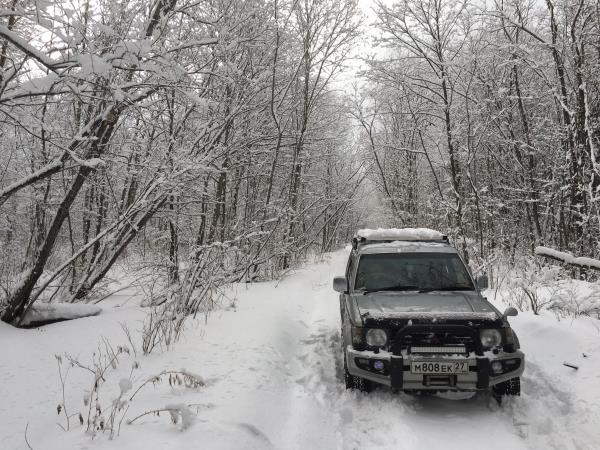 Track leopards and tigers in Siberia