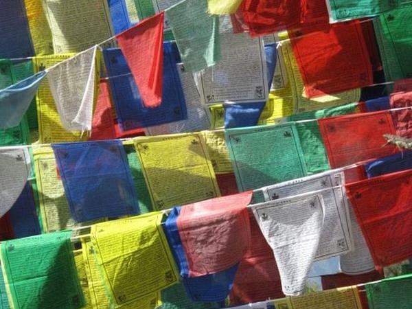 Bhutan walking and wildlife vacation