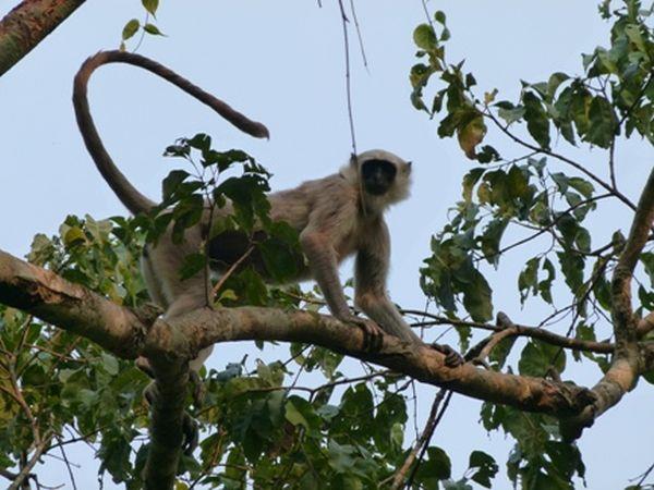 Bhutan walking and wildlife vacation