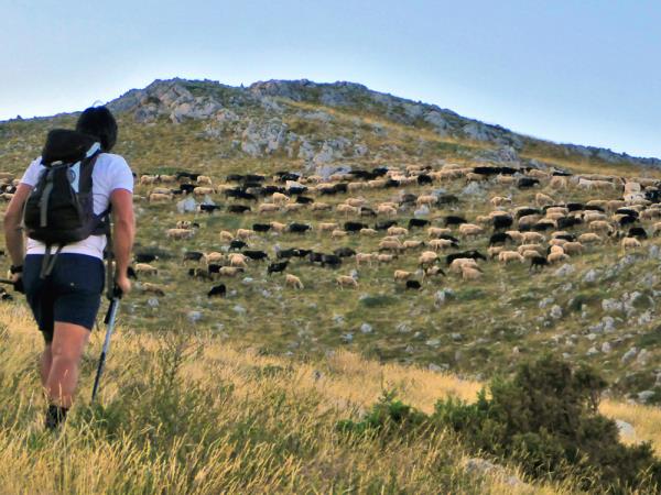 Southern Greece walking vacations