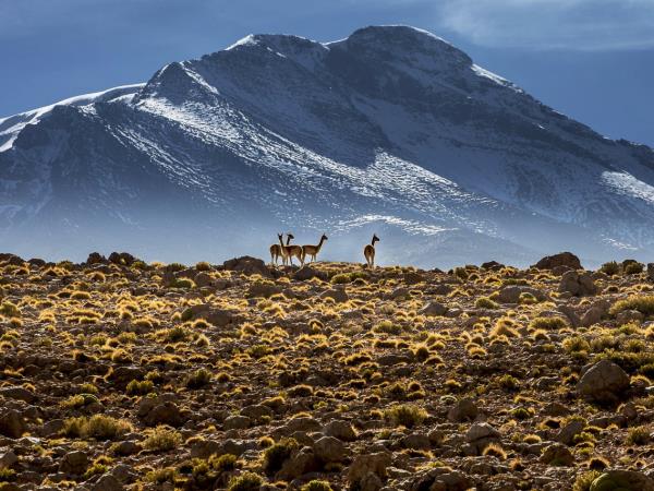 Argentina and Chile vacation