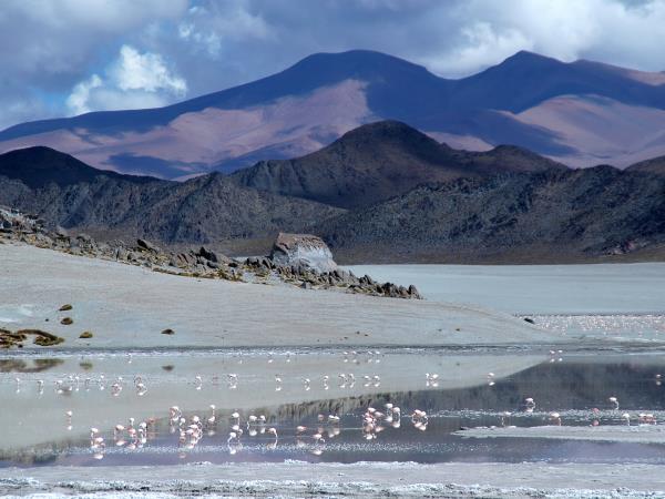 Argentina and Chile vacation