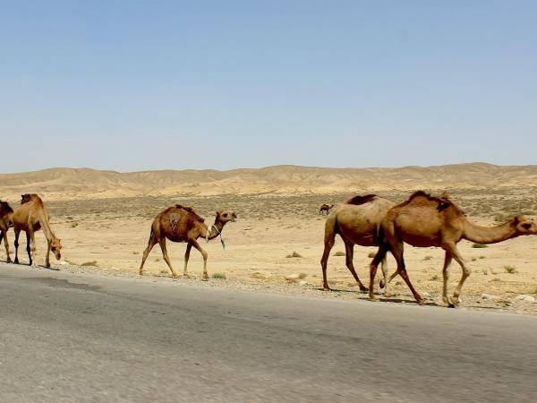 Turkmenistan tailormade vacation
