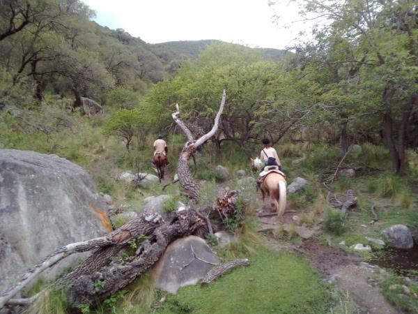 Learn to ride a horse in Argentina
