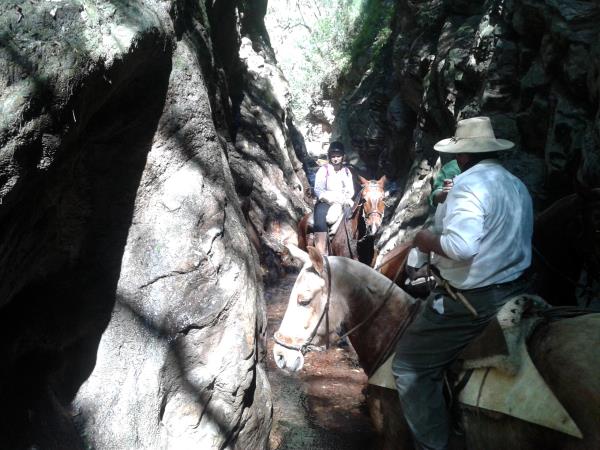 Argentina horseriding vacation in Province of Salta and Jujuy