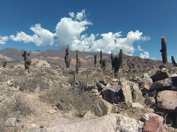 Argentina horseriding vacation in Province of Salta and Jujuy