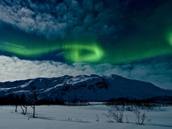 Lofoten Islands and Svalbard northern lights safari