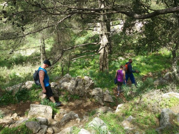 Rhodes walking holiday, guided