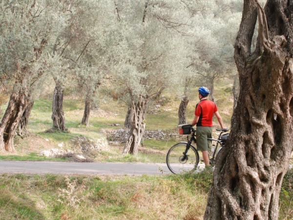 Self guided biking vacation in Montenegro