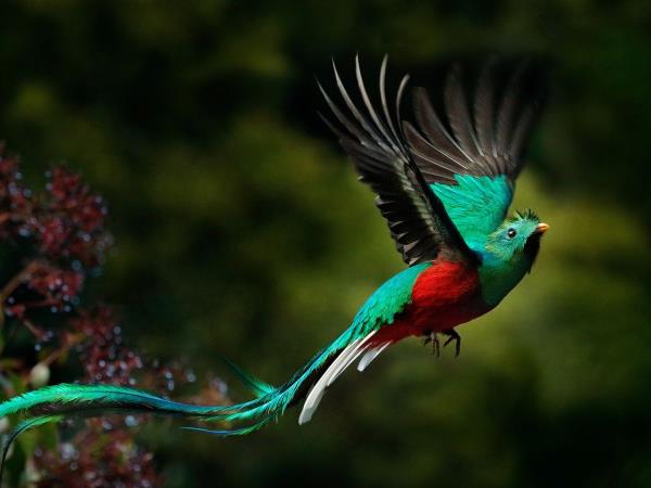Tailor made Costa Rica highlights vacation