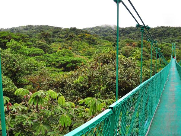 Tailor made Costa Rica highlights vacation