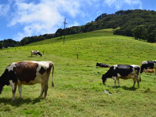 Costa Rica family adventure vacation, private departure