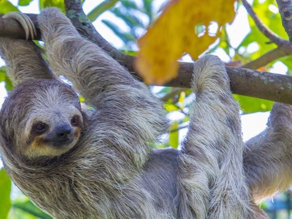 Costa Rica family adventure vacation, private departure