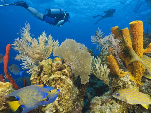 Marine conservation in Belize