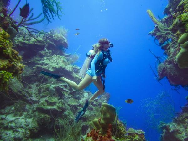 Marine conservation in Belize