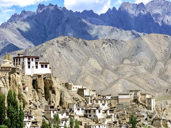 Snow leopard tracking in Ladakh, India