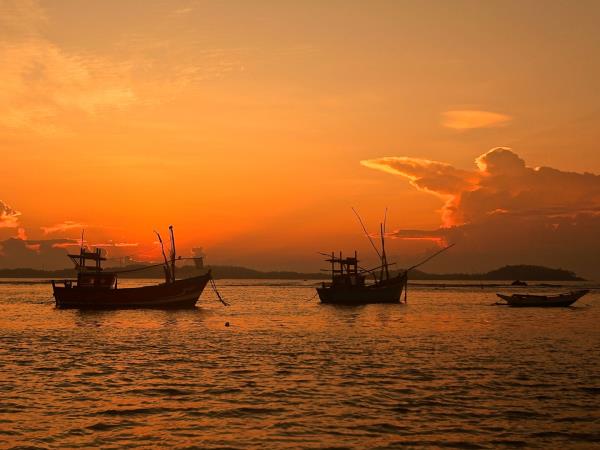 Sri Lanka blue whale vacation