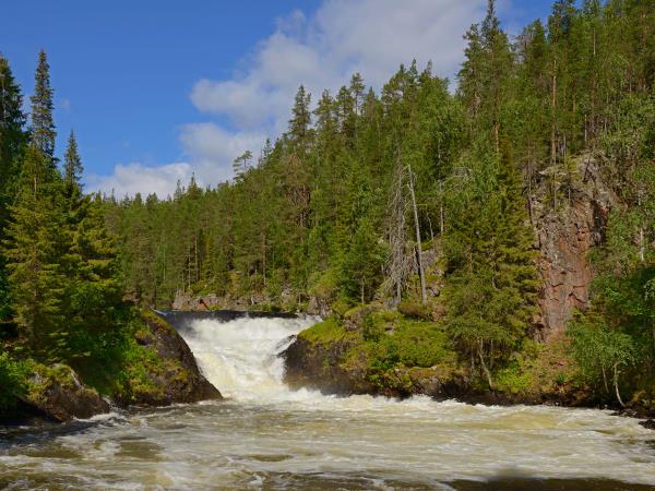 Summer vacation in Finland