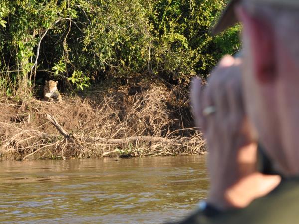 Pantanal wildlife vacation in Brazil