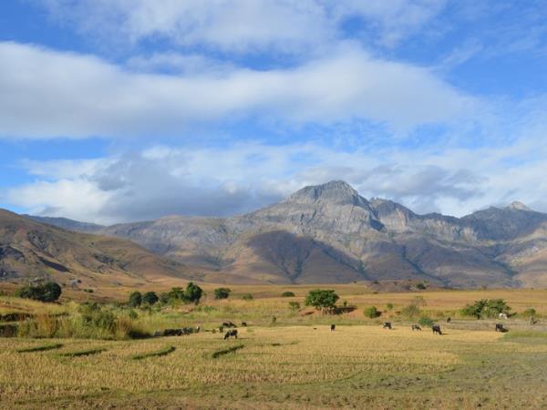 Madagascar guided nature tour