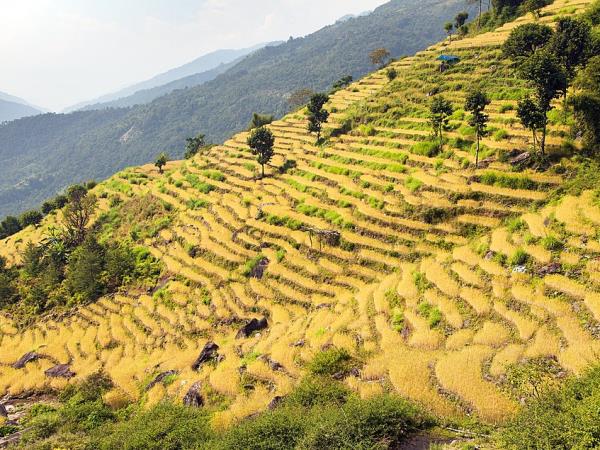 Annapurna Circuit vacation, Nepal