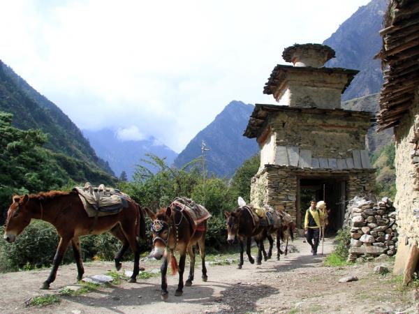Annapurna Circuit vacation, Nepal