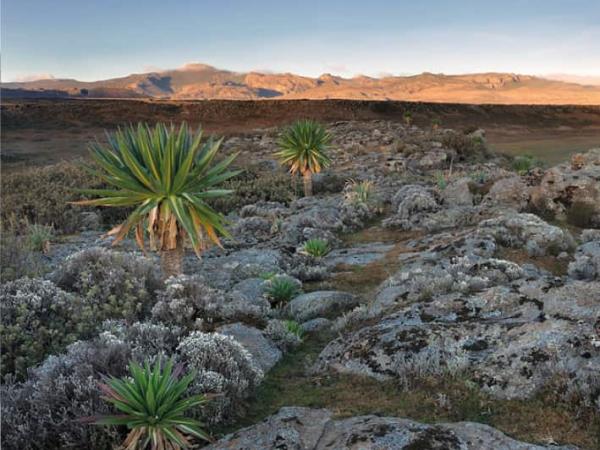 Bale Mountains holiday in Ethiopia