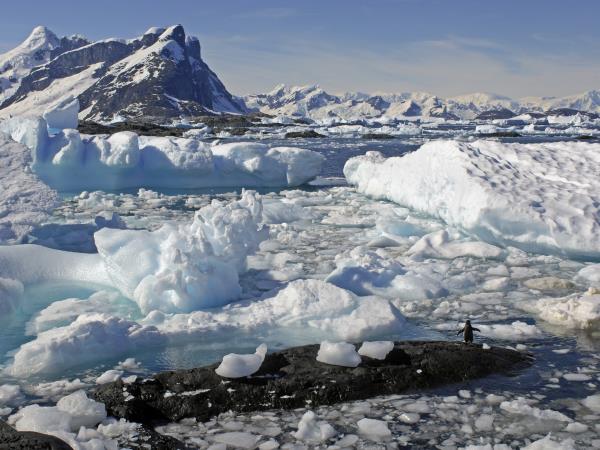 Classic Antarctica vacation