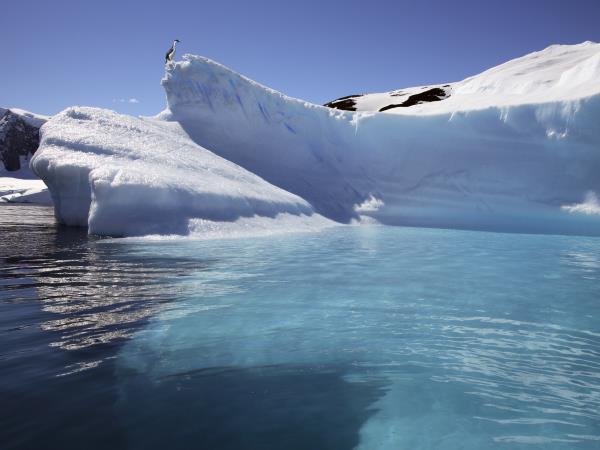 Classic Antarctica vacation