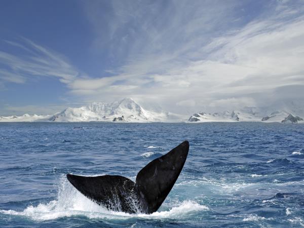Antarctic Circle cruises
