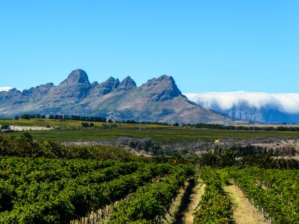 Cape town to Victoria Falls vacation