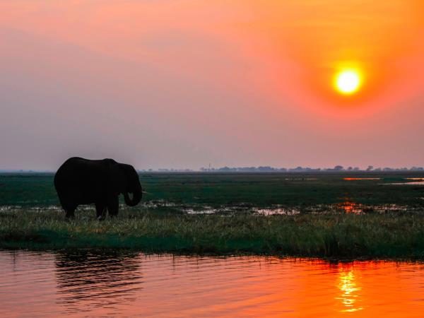 Cape town to Victoria Falls vacation