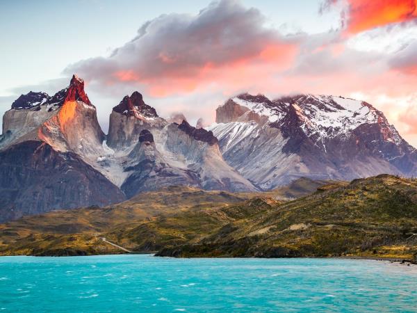 Wildlife vacation in Chile