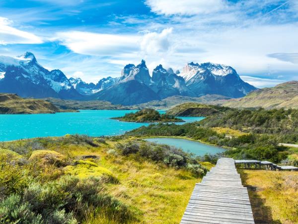Wildlife vacation in Chile