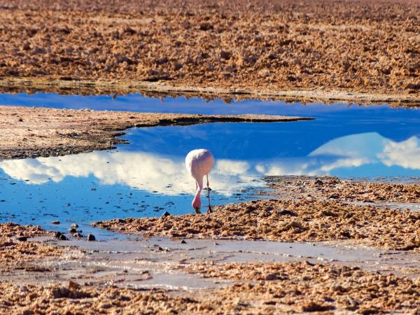 Chile self-drive holidays