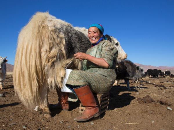Mongolia nomad horse riding vacation
