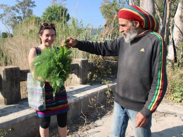 Nutritional food vacation in the Peloponnese