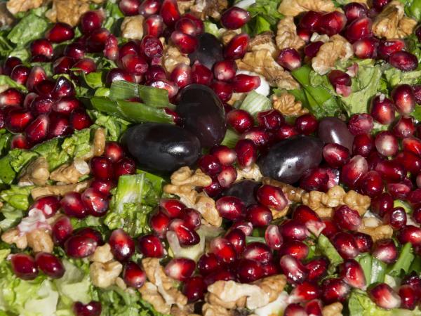 Nutritional food vacation in the Peloponnese